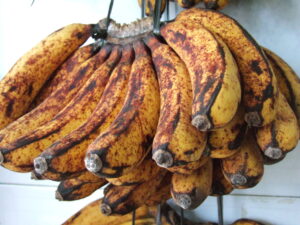 Barangan_banana_