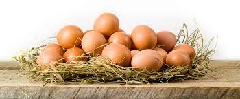 鸡蛋的健康益处