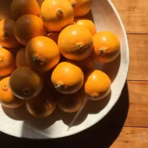 橘子——关于橘子的有趣事实